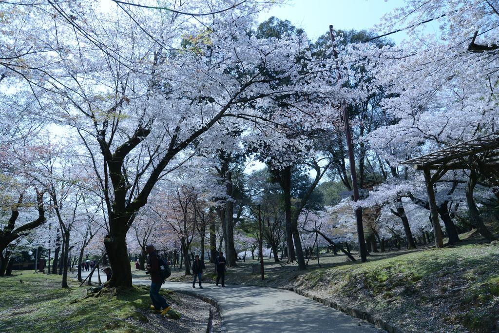 The Deer Park Inn Nara Esterno foto